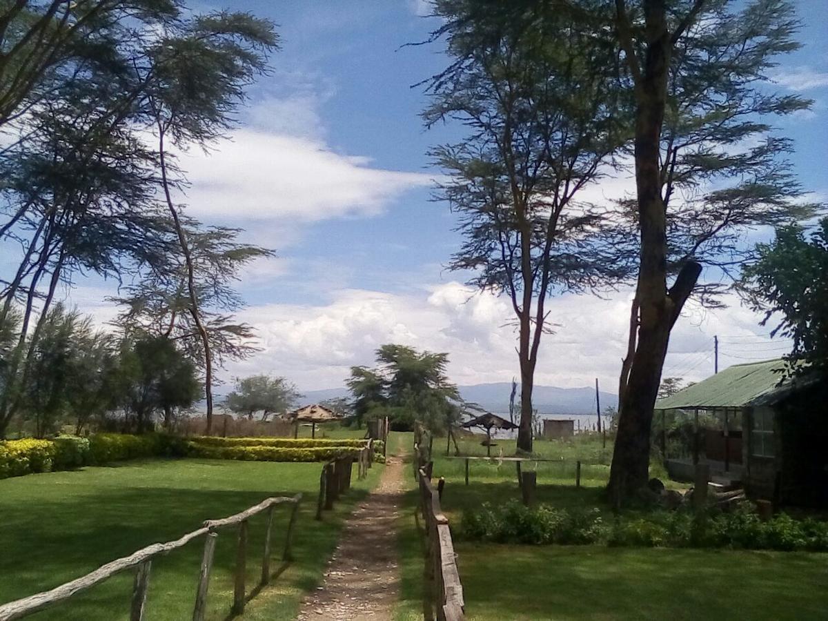 Hippo Safaris Resort Naivasha Esterno foto