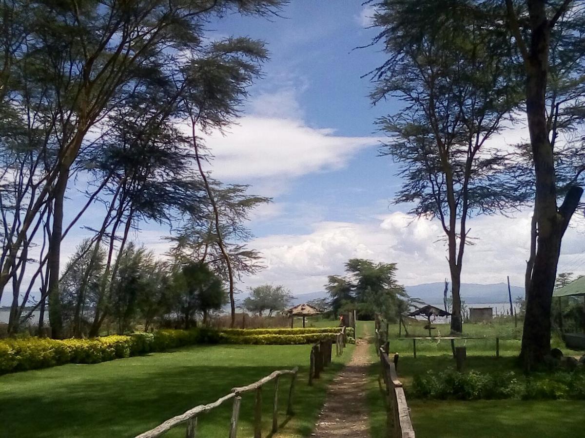 Hippo Safaris Resort Naivasha Esterno foto