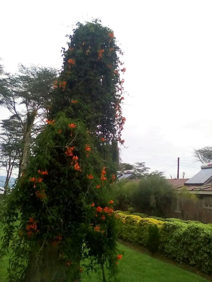Hippo Safaris Resort Naivasha Esterno foto