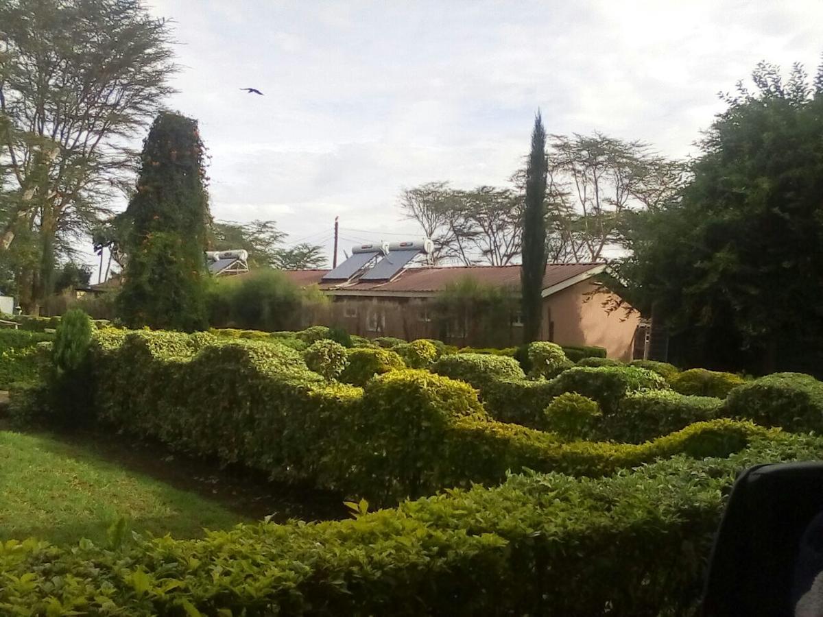 Hippo Safaris Resort Naivasha Esterno foto