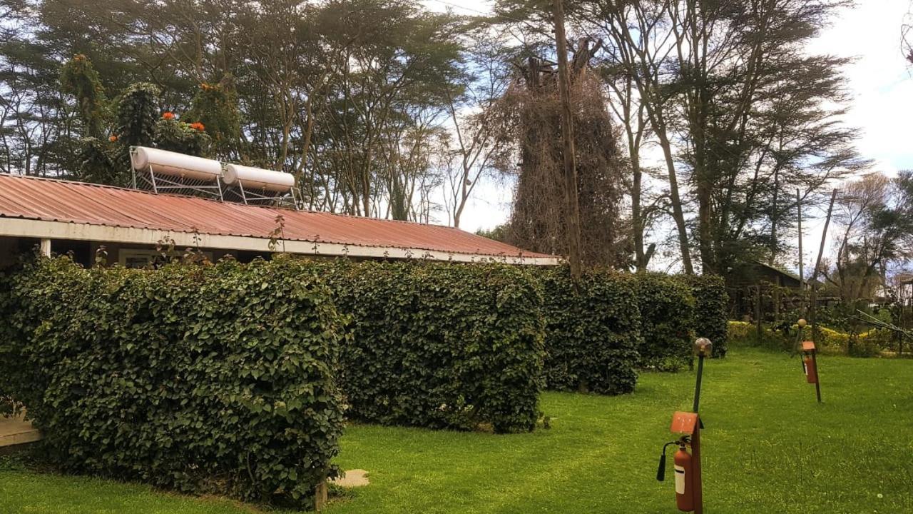 Hippo Safaris Resort Naivasha Esterno foto